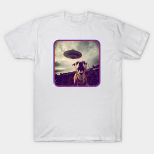 Run for the Hills! Stressed Dog Chased by UFO T-Shirt